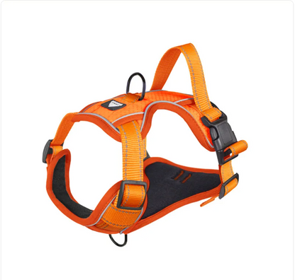 Reflective Dog Harness Durable Pet Safety Vest for Night Walks