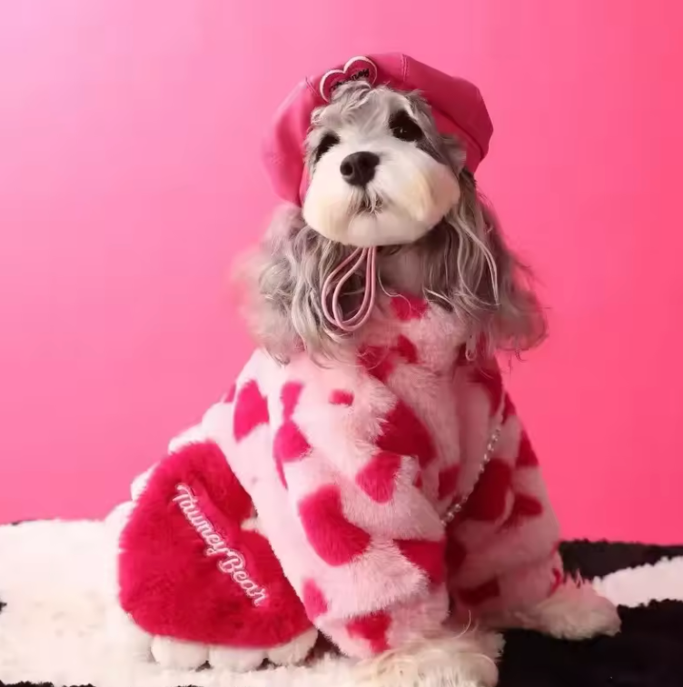 Small Dog Winter Warm Jumper