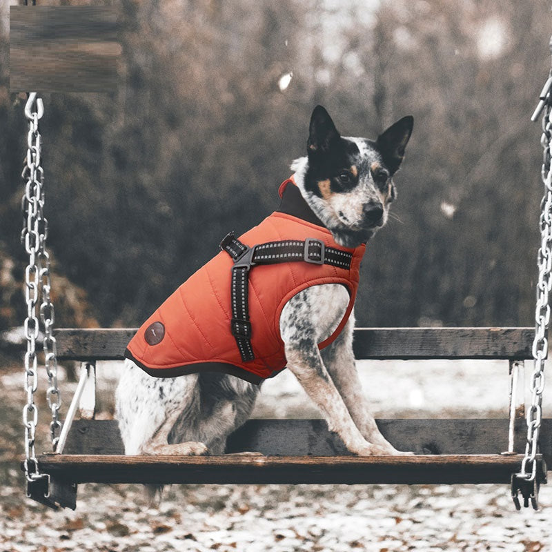 Winter Dog Coat Warm Cotton Padded Pet Jacket XS–XL