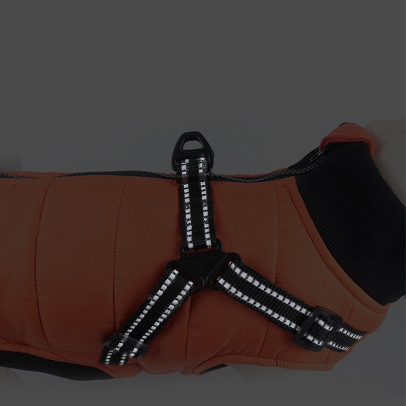 Winter Dog Coat Warm Cotton Padded Pet Jacket XS–XL